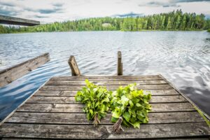 brown wooden dock at a lake