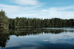 A serene lake reflects trees and sky.